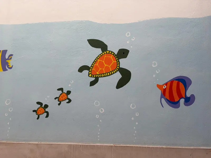Tortugas y peces de colores pintados en la pared del patio de los pequeños